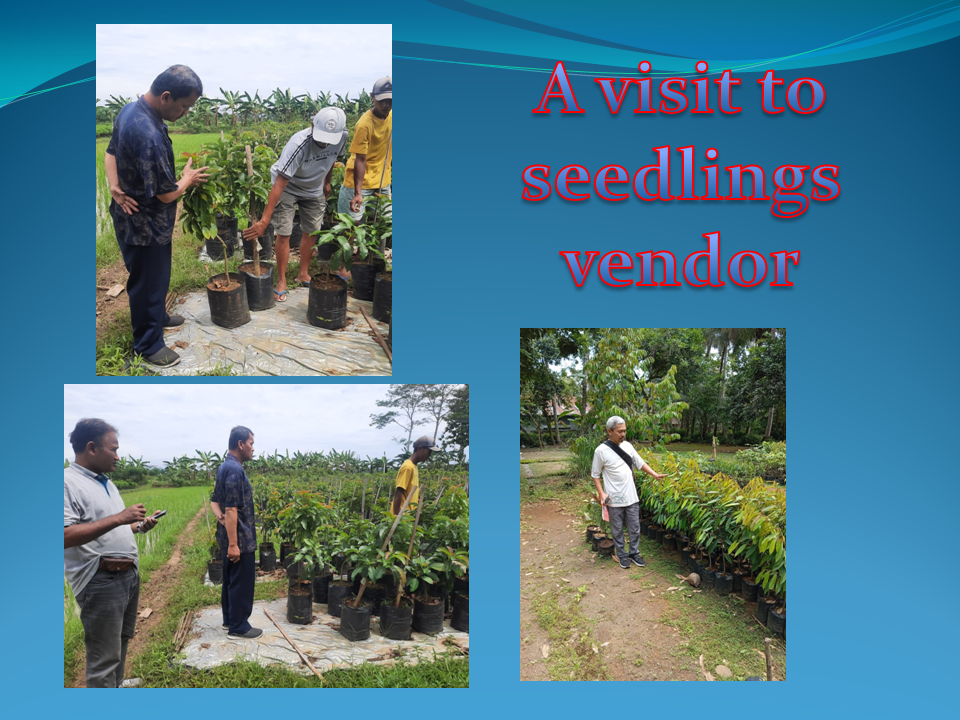 Apikri Staff Conduct a Visit to Fruit and Tree Nursery in Central Java 