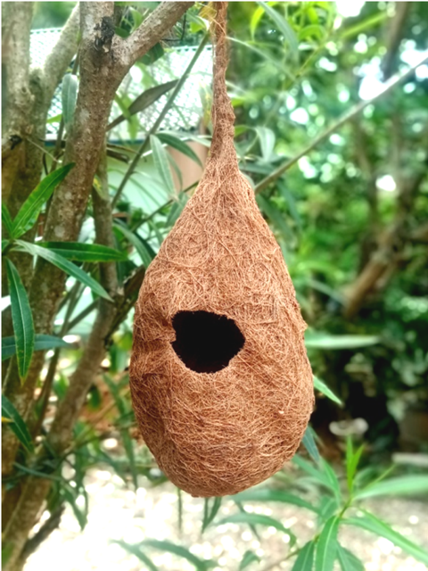 coconut-fiber-birdhouse