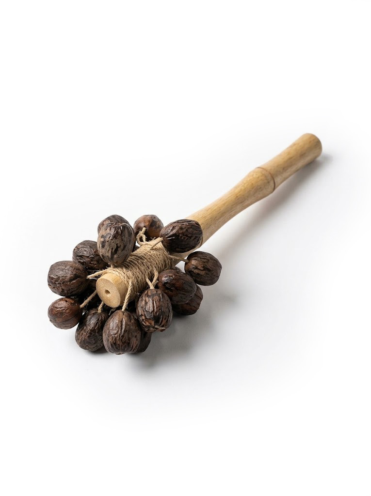 fruit-rubber-tree-maracas-bamboo-stick-motif